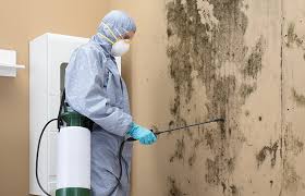 Why You Should Choose Our Mold Remediation Services in Mayflower Village, CA